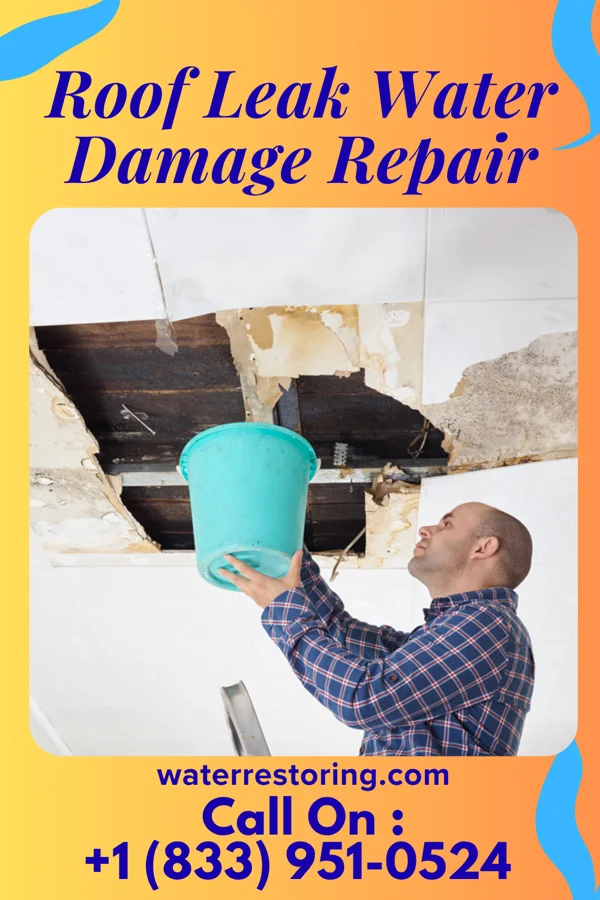Roof Leak Water Damage Repair in Trowbridge Park, MI