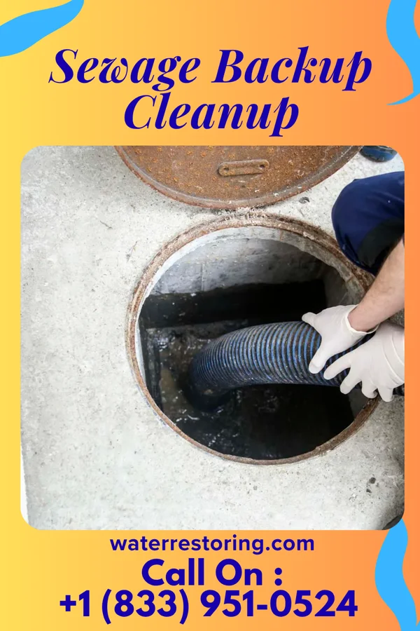 Sewage Backup Cleanup in Trowbridge Park, MI