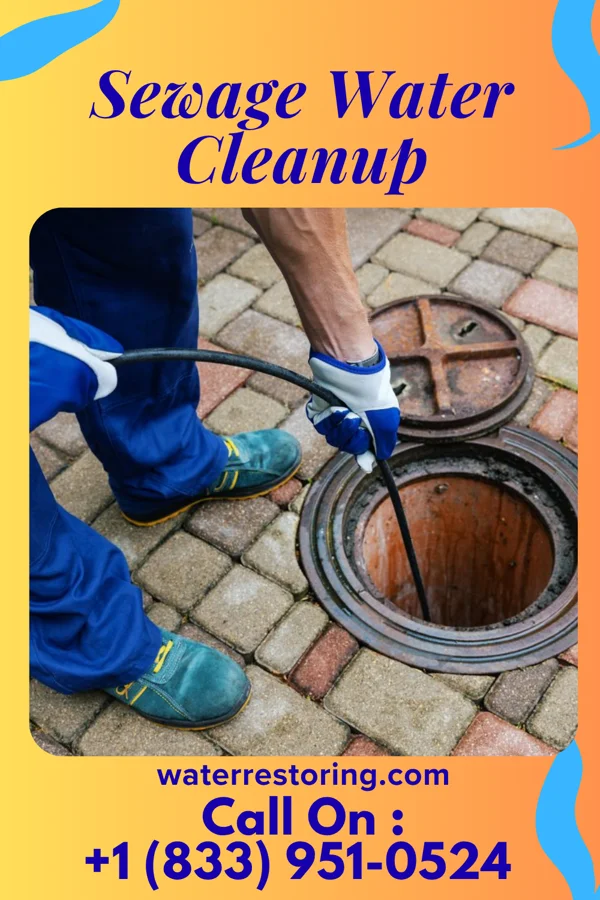 Sewage Water Cleanup in Trowbridge Park, MI